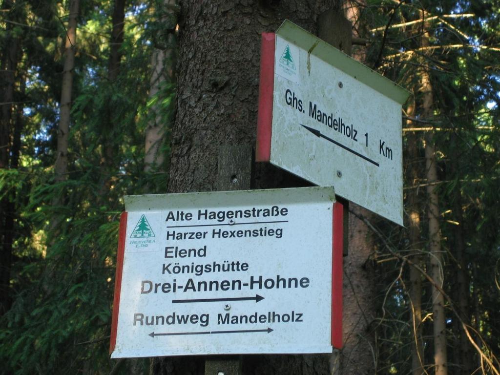 Mandelholz Hotel Grüne Tanne Elend Kültér fotó